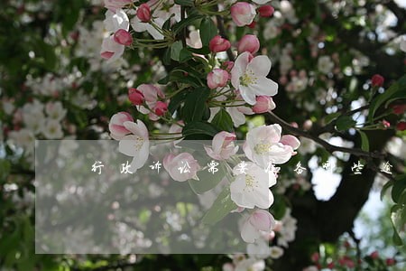 行政诉讼需要准备哪些逾期 行政诉讼需要准备哪些逾期