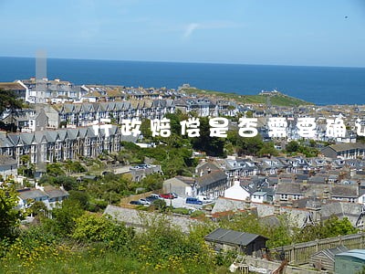 行政赔偿是否需要确认违法
