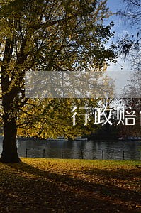 行政赔偿诉讼适用什么制度 行政赔偿诉讼适用什么制度