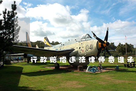 行政赔偿违法律师费谁承担