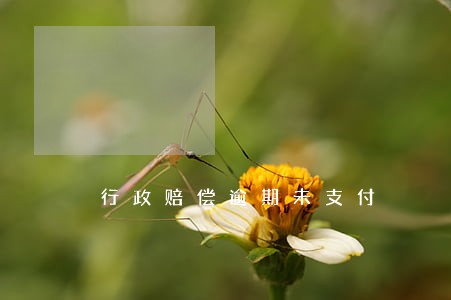行政赔偿逾期未支付 行政赔偿逾期未支付