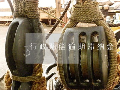 行政赔偿逾期滞纳金 行政赔偿逾期滞纳金