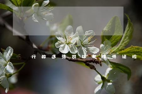 行政违法可以考律师证吗 行政违法可以考律师证吗