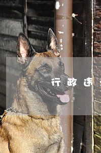 行政违法必须同时具备三个条件 行政违法必须同时具备三个条件