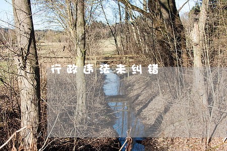 行政违法未纠错