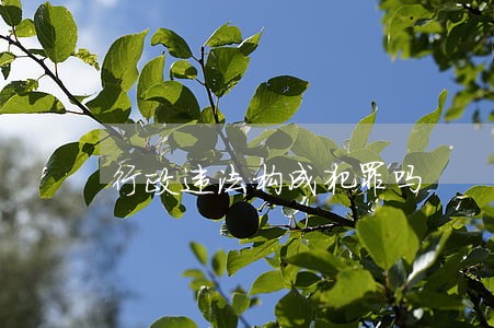 行政违法构成犯罪吗