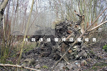行政违法案件结案报告 行政违法案件结案报告