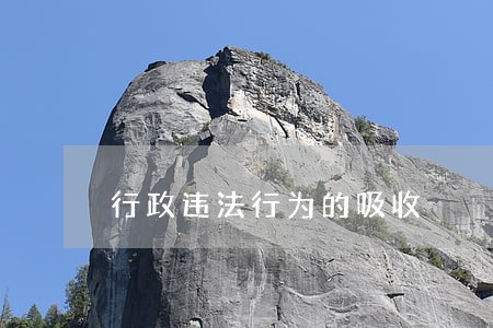 行政违法行为的吸收 行政违法行为的吸收