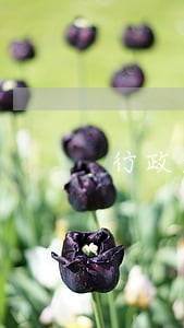行政违法记录公安局可以删除吗 行政违法记录公安局可以删除吗