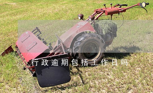 行政逾期包括工作日吗 行政逾期包括工作日吗