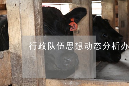 行政队伍思想动态分析办法