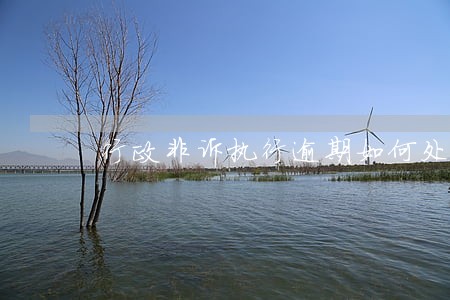 行政非诉执行逾期如何处理