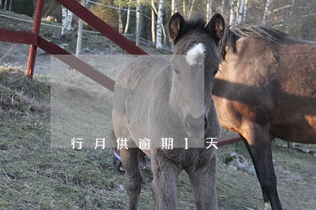行月供逾期1天