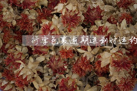 行李包裹逾期运到时违约金计算 行李包裹逾期运到时违约金计算
