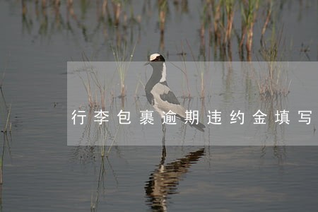 行李包裹逾期违约金填写什么 行李包裹逾期违约金填写什么