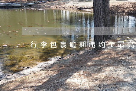 行李包裹逾期违约金最高不超过 行李包裹逾期违约金最高不超过