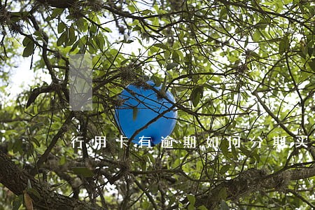 行用卡有逾期如何分期买车