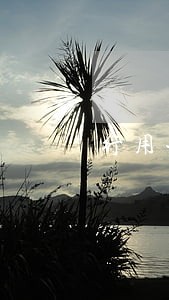 行用卡账单逾期 行用卡账单逾期