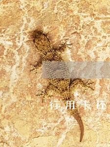 行用卡还款逾期记录怎么消除 行用卡还款逾期记录怎么消除