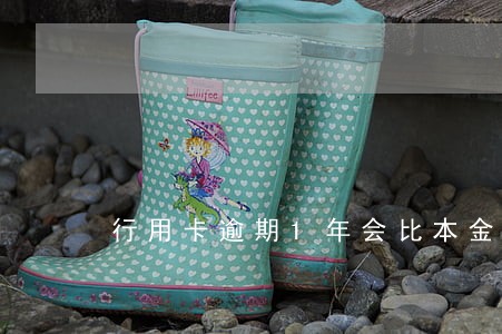 行用卡逾期1年会比本金高吗 行用卡逾期1年会比本金高吗