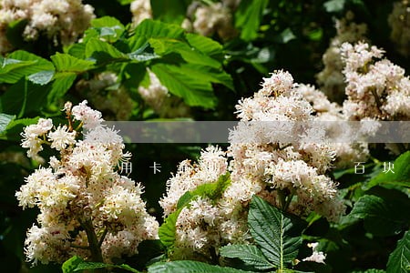 行用卡逾期一个月一百块钱 行用卡逾期一个月一百块钱