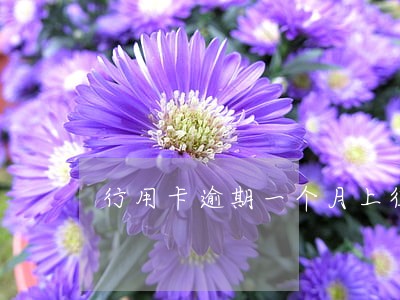 行用卡逾期一个月上征信不 行用卡逾期一个月上征信不