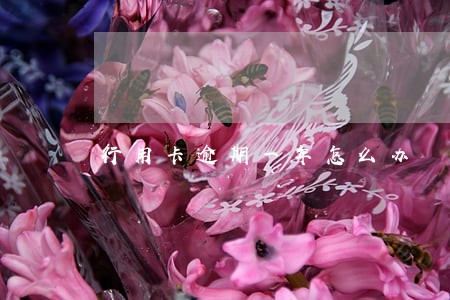 行用卡逾期一年怎么办 行用卡逾期一年怎么办