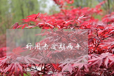 行用卡逾期两年 行用卡逾期两年
