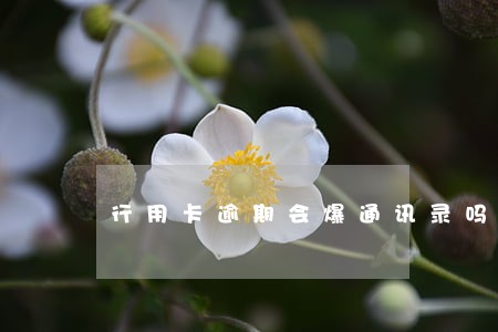行用卡逾期会爆通讯录吗 行用卡逾期会爆通讯录吗