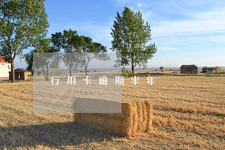 行用卡逾期半年 行用卡逾期半年