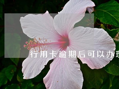 行用卡逾期后可以办理分期吗