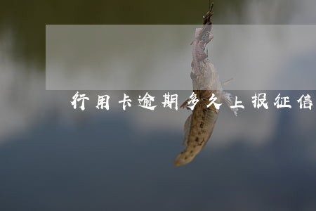 行用卡逾期多久上报征信 行用卡逾期多久上报征信