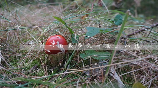 行用卡逾期多久才会上征信 行用卡逾期多久才会上征信