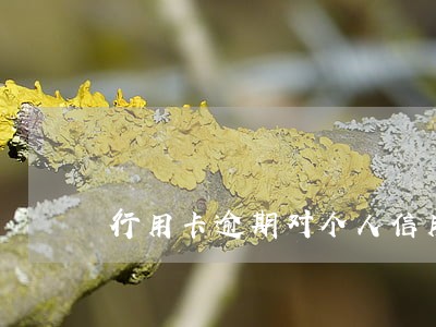 行用卡逾期对个人信用的影响 行用卡逾期对个人信用的影响