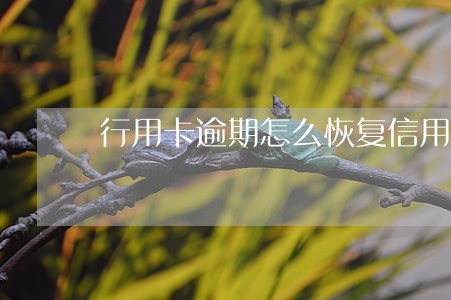 行用卡逾期怎么恢复信用