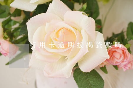 行用卡逾期按揭贷款吗