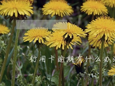 行用卡逾期有什么办法消除 行用卡逾期有什么办法消除