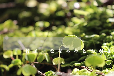 行用卡逾期本金包含利息 行用卡逾期本金包含利息