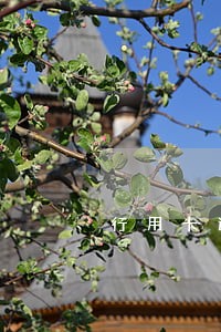 行用卡逾期能否公积金贷款 行用卡逾期能否公积金贷款