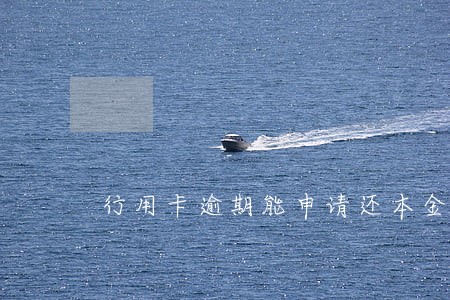行用卡逾期能申请还本金免息吗
