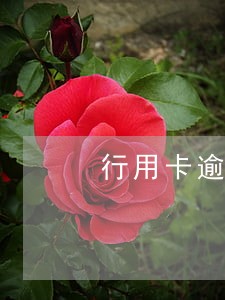 行用卡逾期记录查询 行用卡逾期记录查询