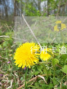 行用卡逾期费用怎么算 行用卡逾期费用怎么算