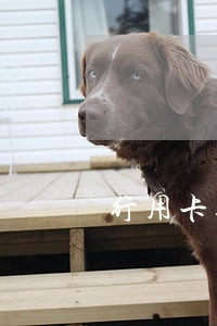 行用卡逾期违约金能停吗 行用卡逾期违约金能停吗