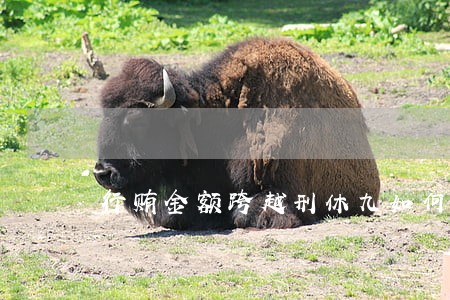 行贿金额跨越刑休九如何适用刑法 行贿金额跨越刑休九如何适用刑法