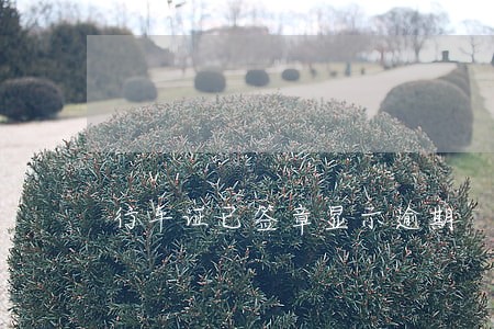 行车证已签章显示逾期 行车证已签章显示逾期