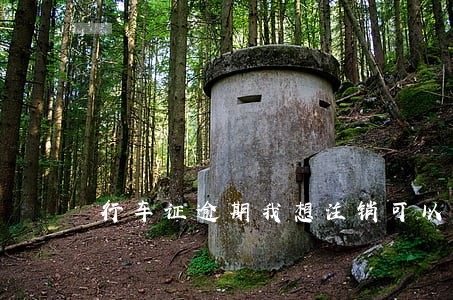 行车证逾期我想注销可以吗 行车证逾期我想注销可以吗