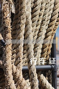 行车证逾期连续被处罚 行车证逾期连续被处罚