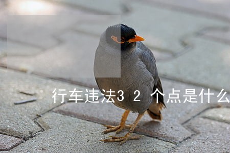 行车违法32个点是什么意思