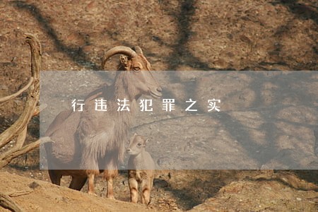 行违法犯罪之实 行违法犯罪之实