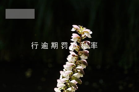 行逾期罚息利率 行逾期罚息利率
